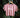 Salty Everyday Hazy Pink / White
