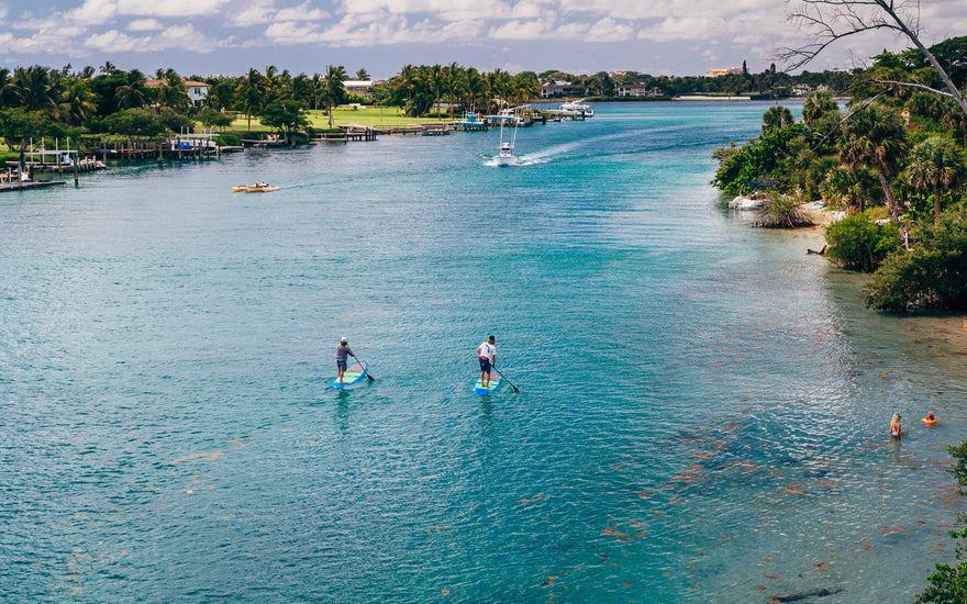 Paddling into Jupiter’s Paradise - Blueline Eco Tour
