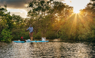 Your Guide To Paddleboard Rentals In Jupiter