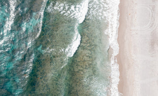 Playlist: Ceviche & Sunshine