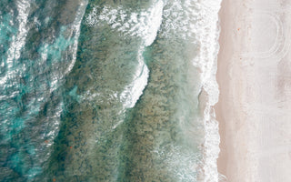 Playlist: Ceviche & Sunshine