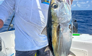 Blackfin Tuna fishing in Jupiter, Florida with Blueline Surf and Paddle Co. and Jyg Pro Fishing. Photo by Brian Hall of Iris Outdoors