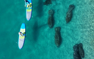 Tuesdays Are for Paddling: Half-Price Paddleboard and Kayak Rentals