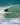 The Surf Dad