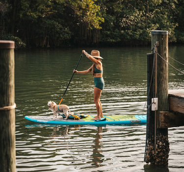 Stand-up paddleboarder with their puppy on the Intracoastal Waterway in Jupiter, Florida, participating in Blueline's Tuesday Night Race League using a paddleboard rental from Blueline Surf and Paddle. 