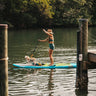 Stand-up paddleboarder with their puppy on the Intracoastal Waterway in Jupiter, Florida, participating in Blueline's Tuesday Night Race League using a paddleboard rental from Blueline Surf and Paddle. 