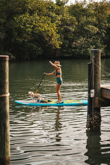 Stand-up paddleboarder with their puppy on the Intracoastal Waterway in Jupiter, Florida, participating in Blueline's Tuesday Night Race League using a paddleboard rental from Blueline Surf and Paddle. 