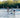 Social Paddle with Rental