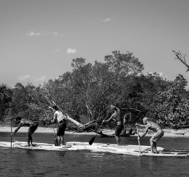 Jupiter Paddle Bash/Paddle for Shifting Gears United