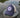 OG Floral Logo Hat Twilight