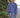Blueline OG Logo Kids UV Long Sleeve – Denim / True Navy