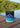 Moonbeam Silipint silicone rocks glass with the Blueline Surf and Paddle Co. diamond logo