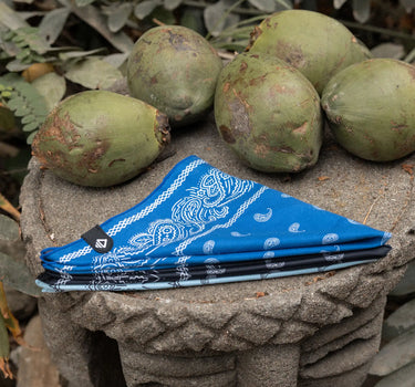 Bandana Towel: Paisley Stellar Blue
