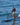 Surfing the Starboard Generation