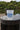 Blueline Surf & Paddle Mahi Logo reusable frosted plastic cup with colorful mahi mahi fish design – 16 oz eco-friendly drinkware from Jupiter, Florida surf shop.