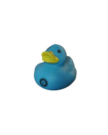 blue Blueline rubber ducky coastal themed gift with logo