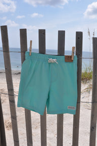 Blueline Toddler Ledge Board Shorts in aqua designed for beach days, pool fun, and family boating adventures.