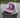 Florida Box performance hat in fig colorway