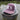 Florida Box performance hat in fig colorway