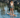 Surftech Generator Madera 11'6" SUP | Premium Wood Veneer All-Arounder