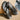 Women's OluKai Honu Black leather sandals styled for beach vacations, travel, and everyday coastal wear.