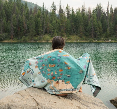 Original Towel: National Parks and Monuments Map