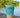 Silipint Silicone cup in shoreline color way sits on a wooden dock in Jupiter, Florida. The cup features a Blueline Surf and Paddle Co. diamond-shaped logo.