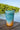 Silipint Silicone cup in shoreline color way sits on a wooden dock in Jupiter, Florida. The cup features a Blueline Surf and Paddle Co. diamond-shaped logo.