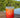 A silicone tumbler with a white diamond logo reading 'BLUELINE JUP BLUE FLA SURF & PADDLE CO' in marigold color way from Silipint sits on a wooden deck with a blurred lake and green trees in the background.