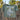 Tarpon Rodeo crop t-shirt in sage with fishing back graphic