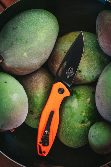 Williams Knife Co. x Blueline RX Flipper Pocket Knife, alternate view