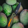 Williams Knife Co. x Blueline RX Flipper Pocket Knife, alternate view