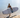 Surftech Lido 11'6" SUP | The Ultimate "Rental-Grade" Durable All-Arounder
